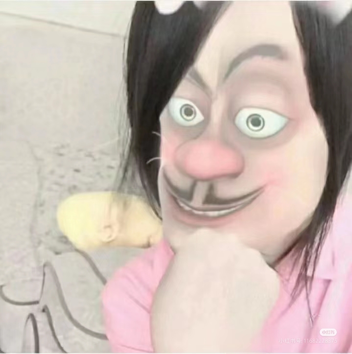 Camera_XHS_17287440653201040g0083171gqt2dgo305pka3cigu3ck6pr23f8.jpg