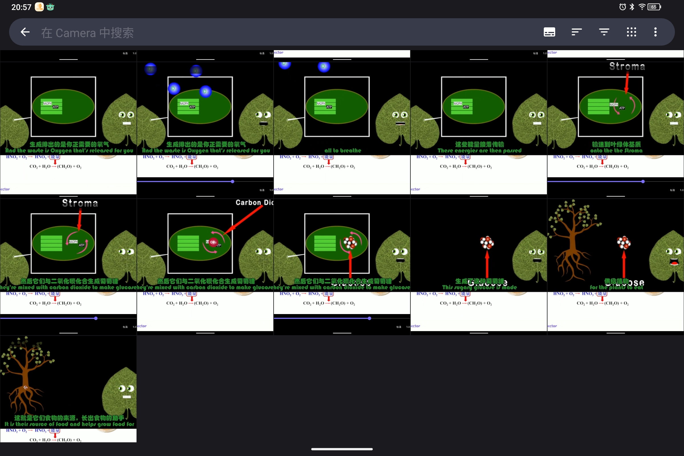 Screenshot_2024-10-25-20-57-30-602.jpg