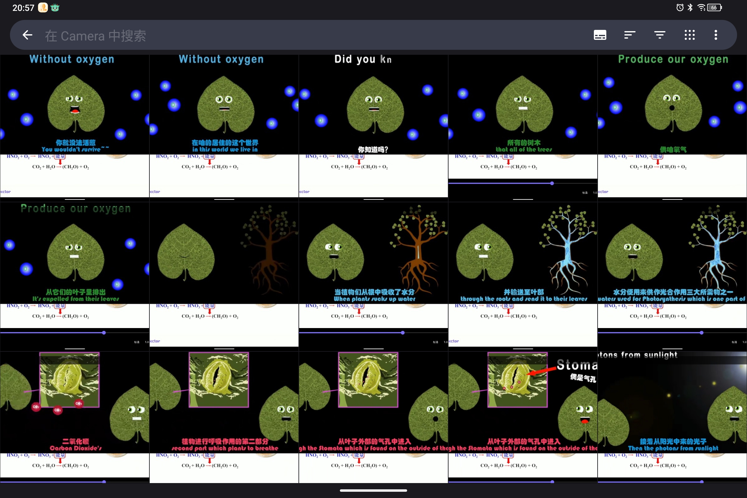 Screenshot_2024-10-25-20-57-03-850.jpg