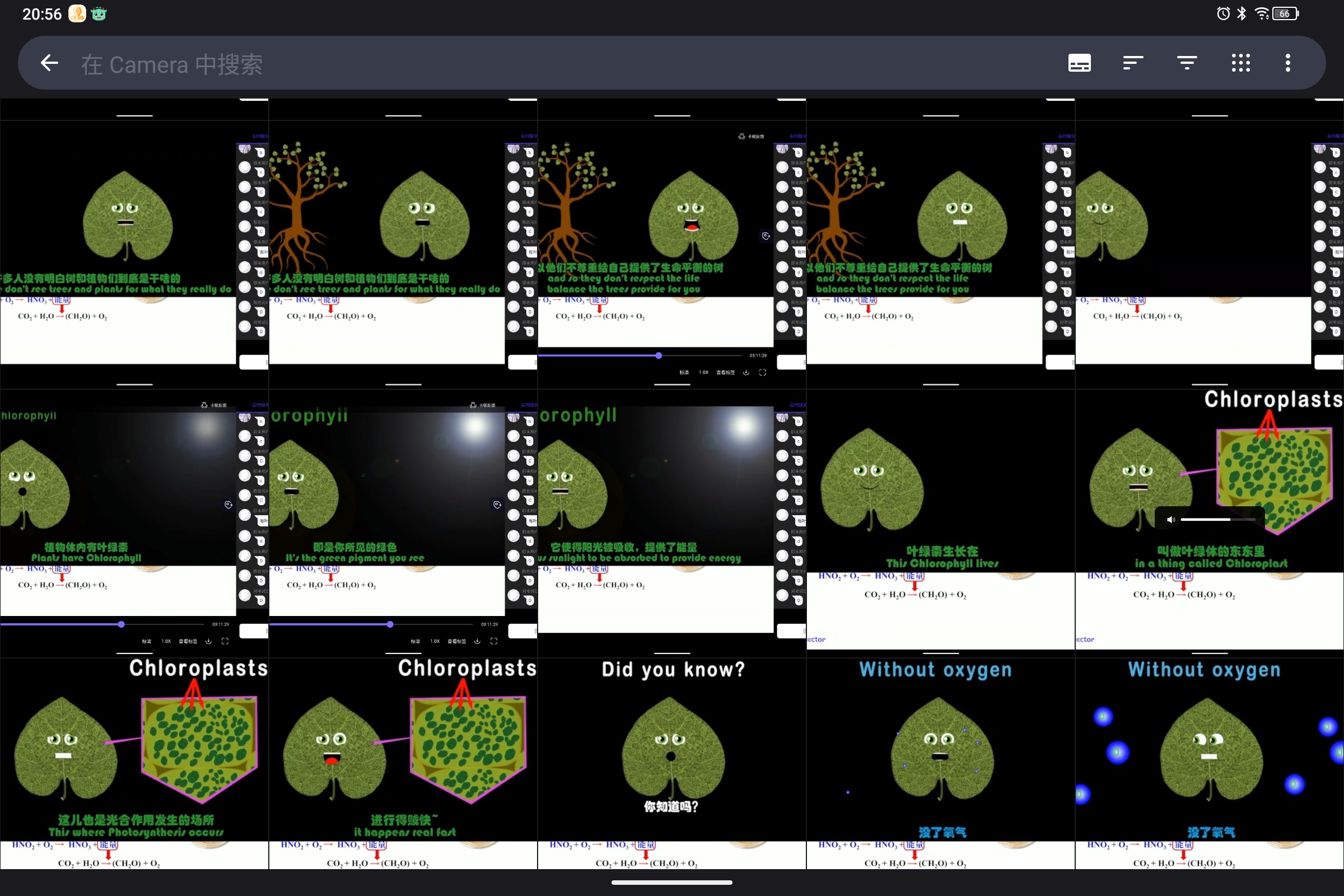 Screenshot_2024-10-25-20-56-56-009.jpg