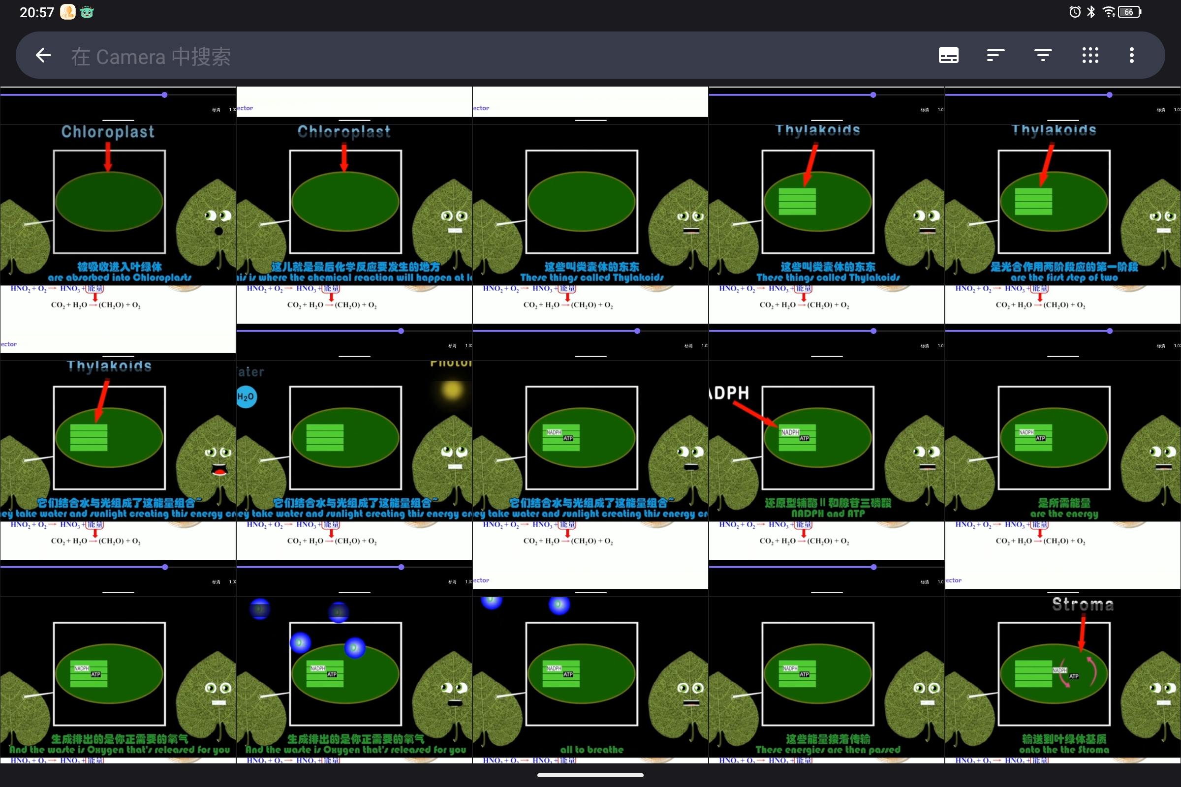 Screenshot_2024-10-25-20-57-11-947.jpg