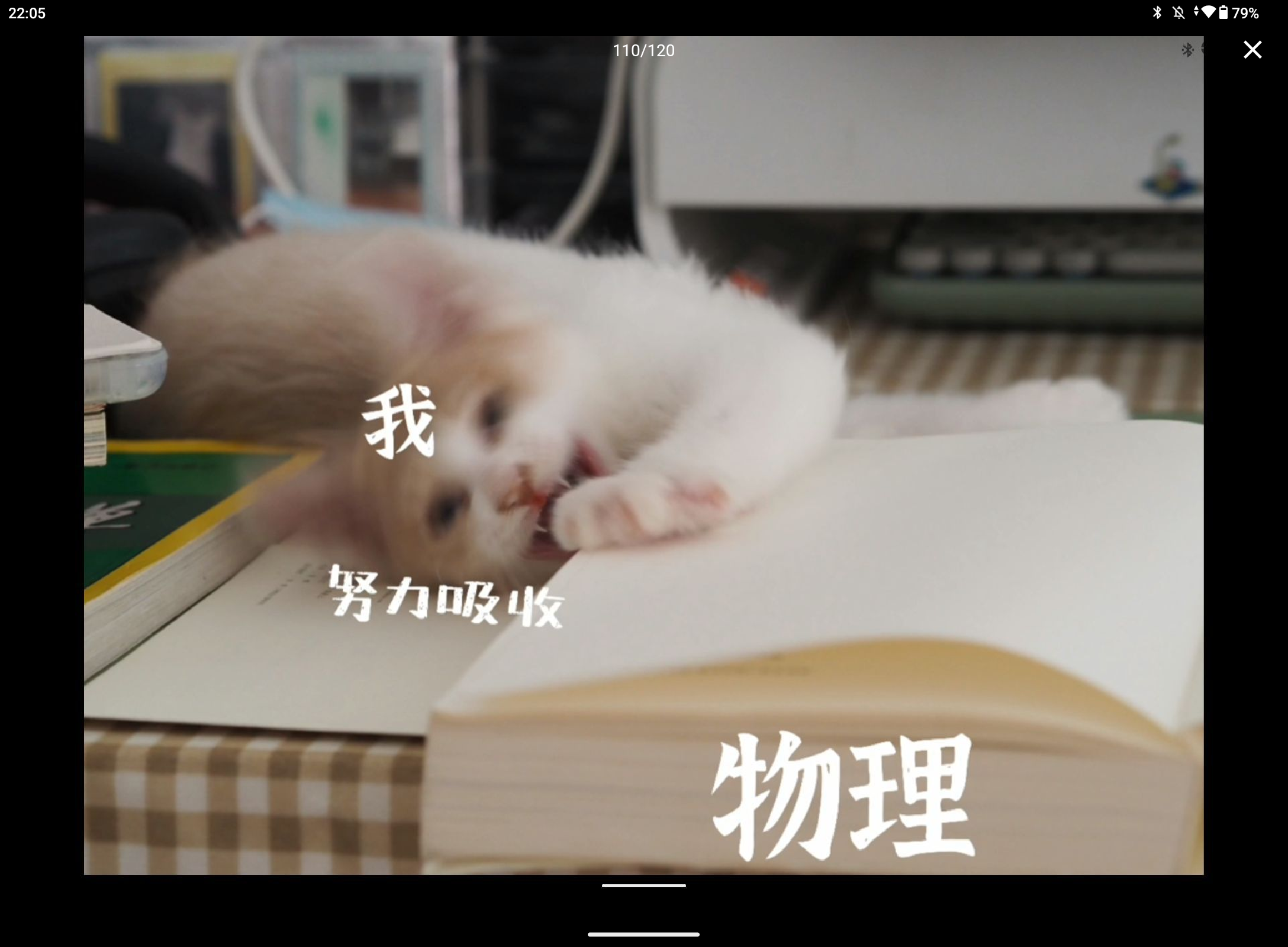 Screenshot_20240910-220505.png