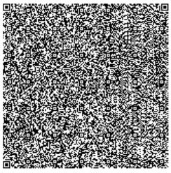 1730528056785.jpg