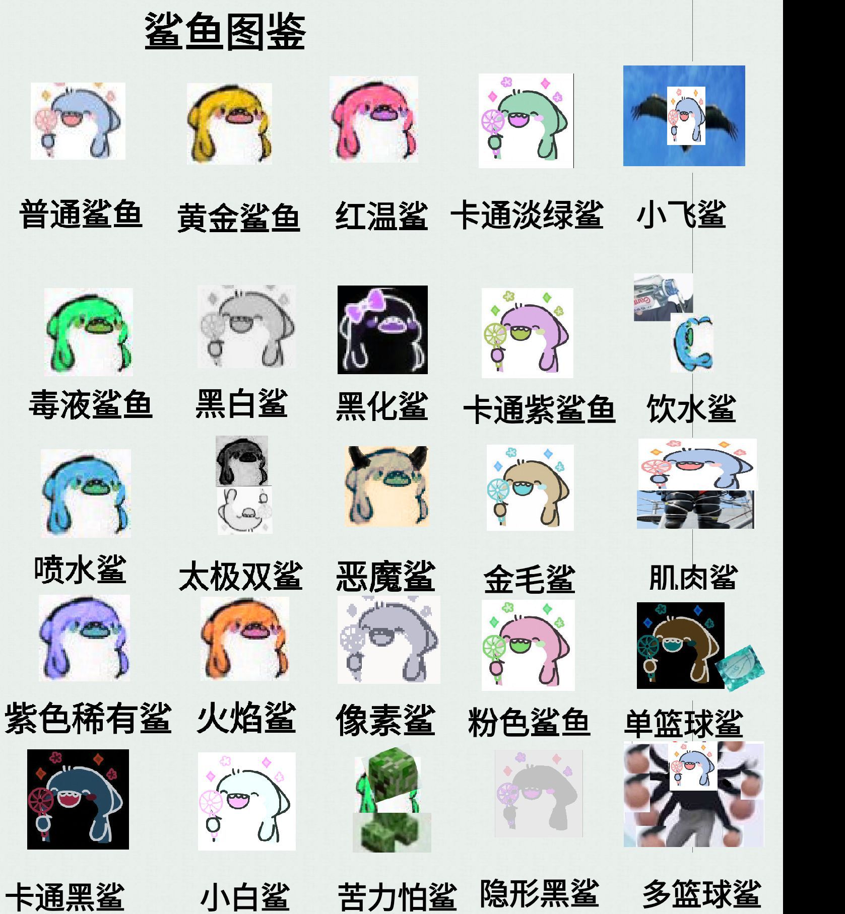 1730527977100.jpg