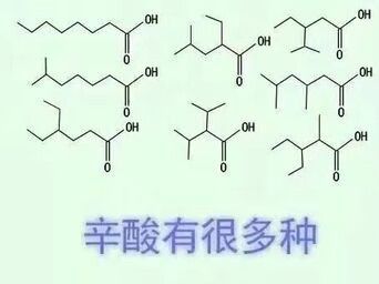 1729486548970.jpg