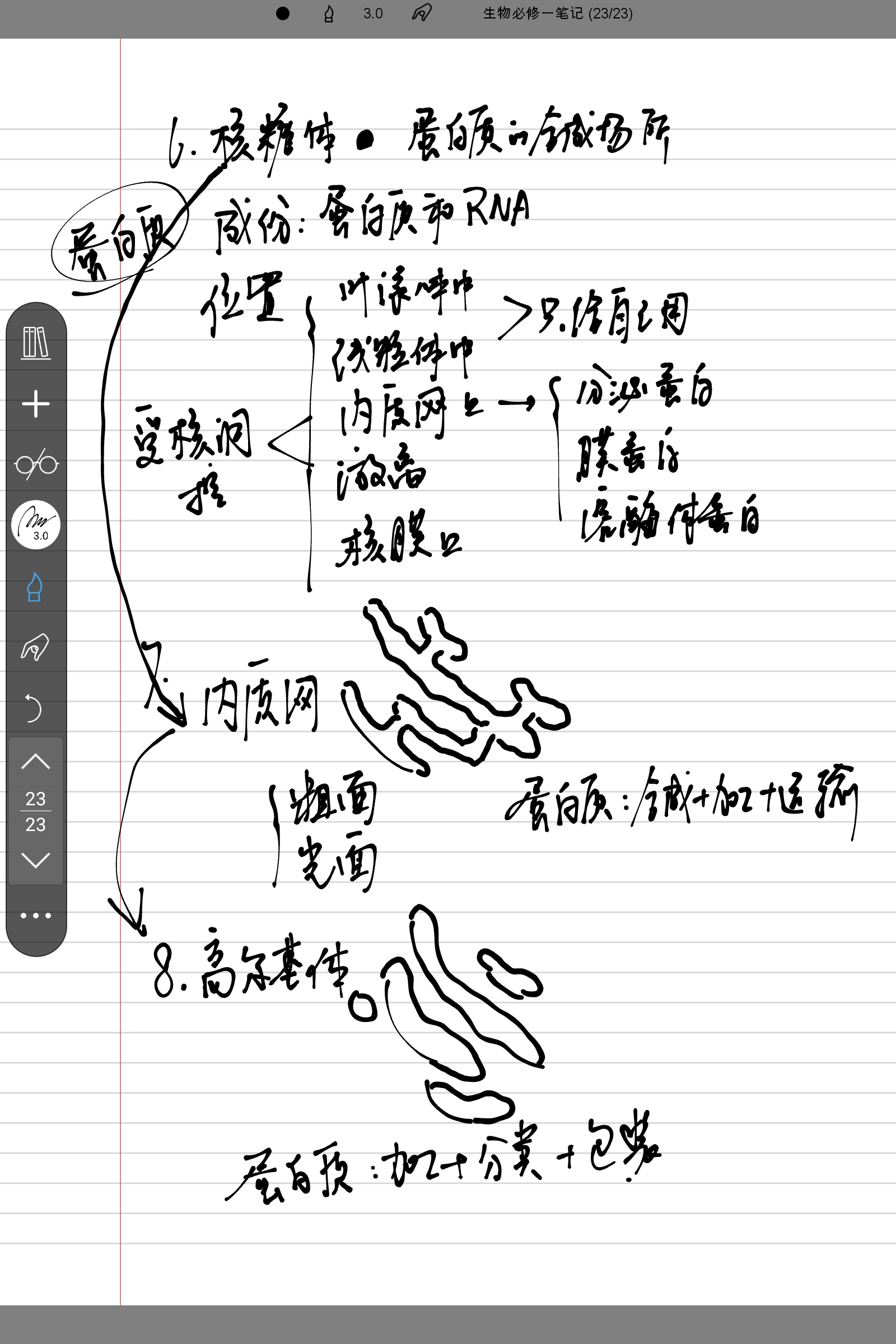 Screenshot_2024-11-05-18-18-12-733.jpg