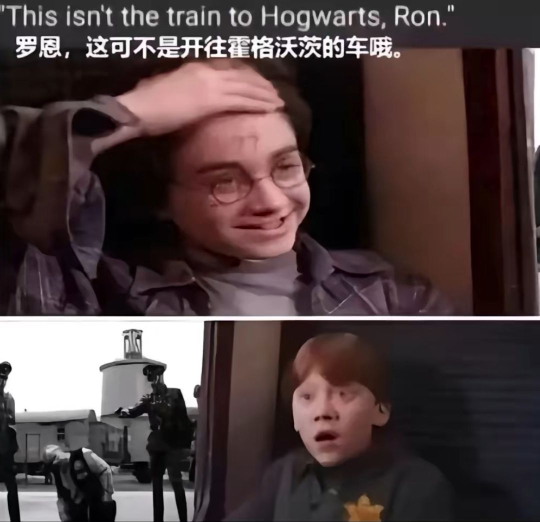 1729774959347.jpg