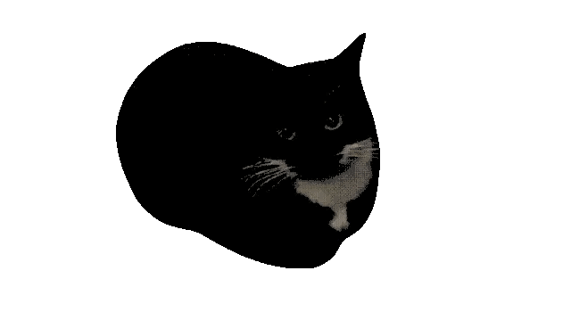 1731125788453_121751.gif