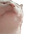 1730522404281_124103.gif