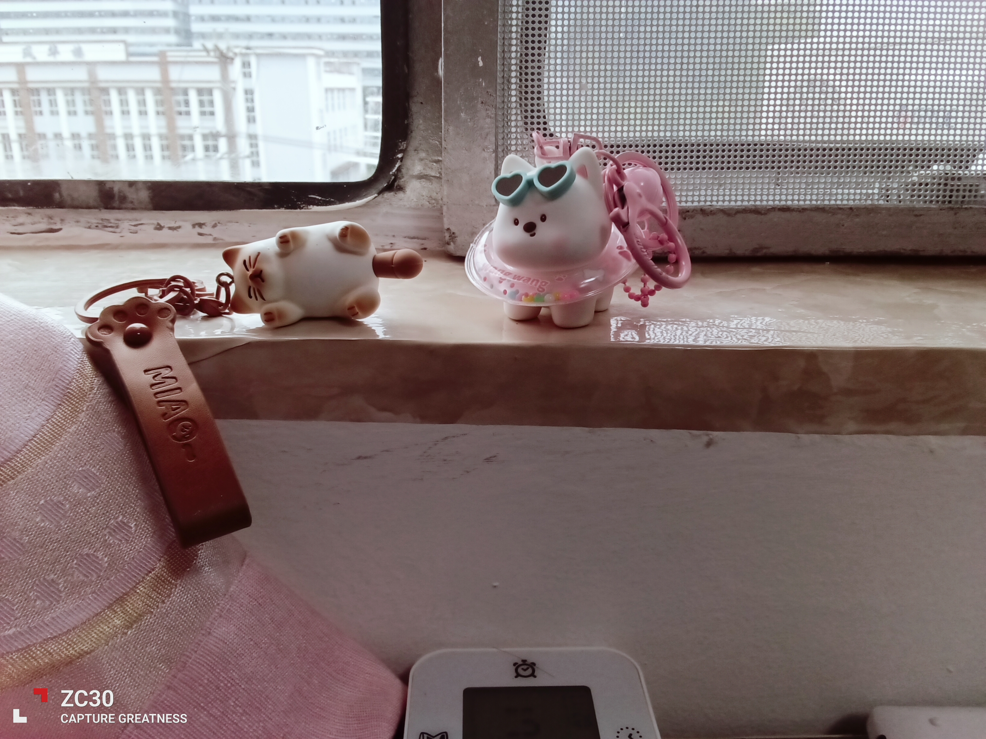 IMG_20241120_173815.jpg