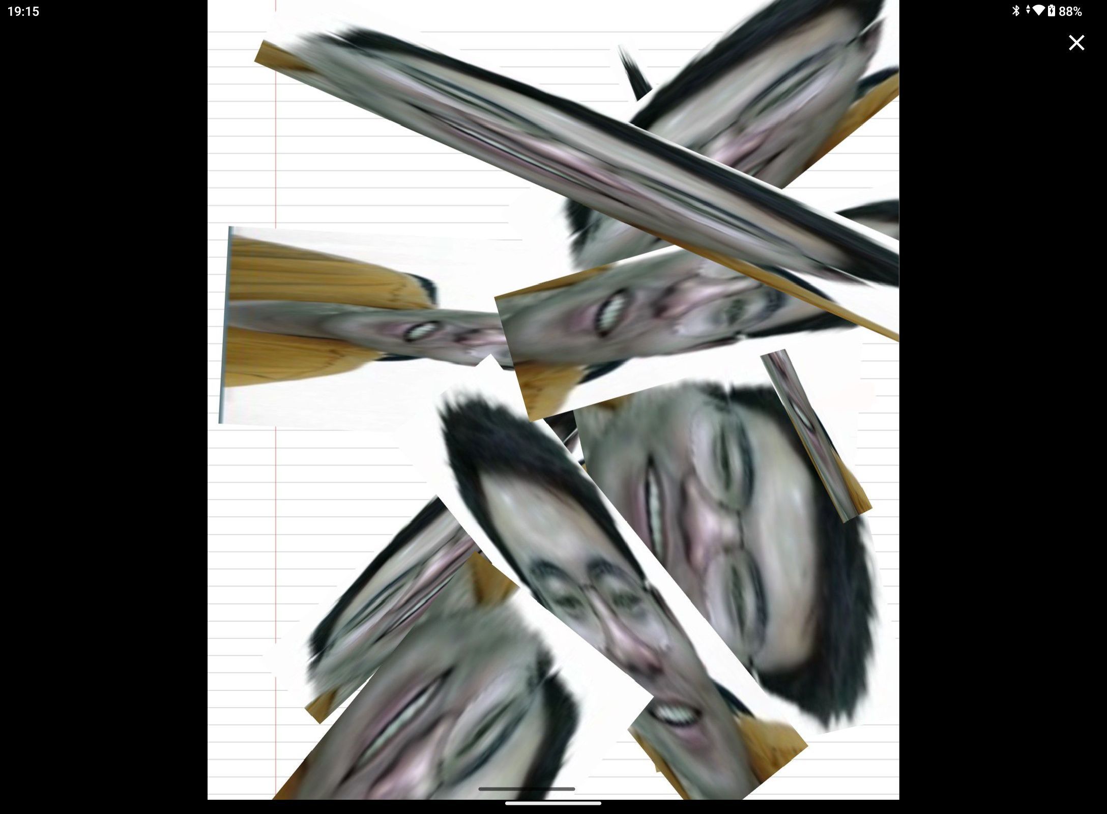 1731827183963.jpg