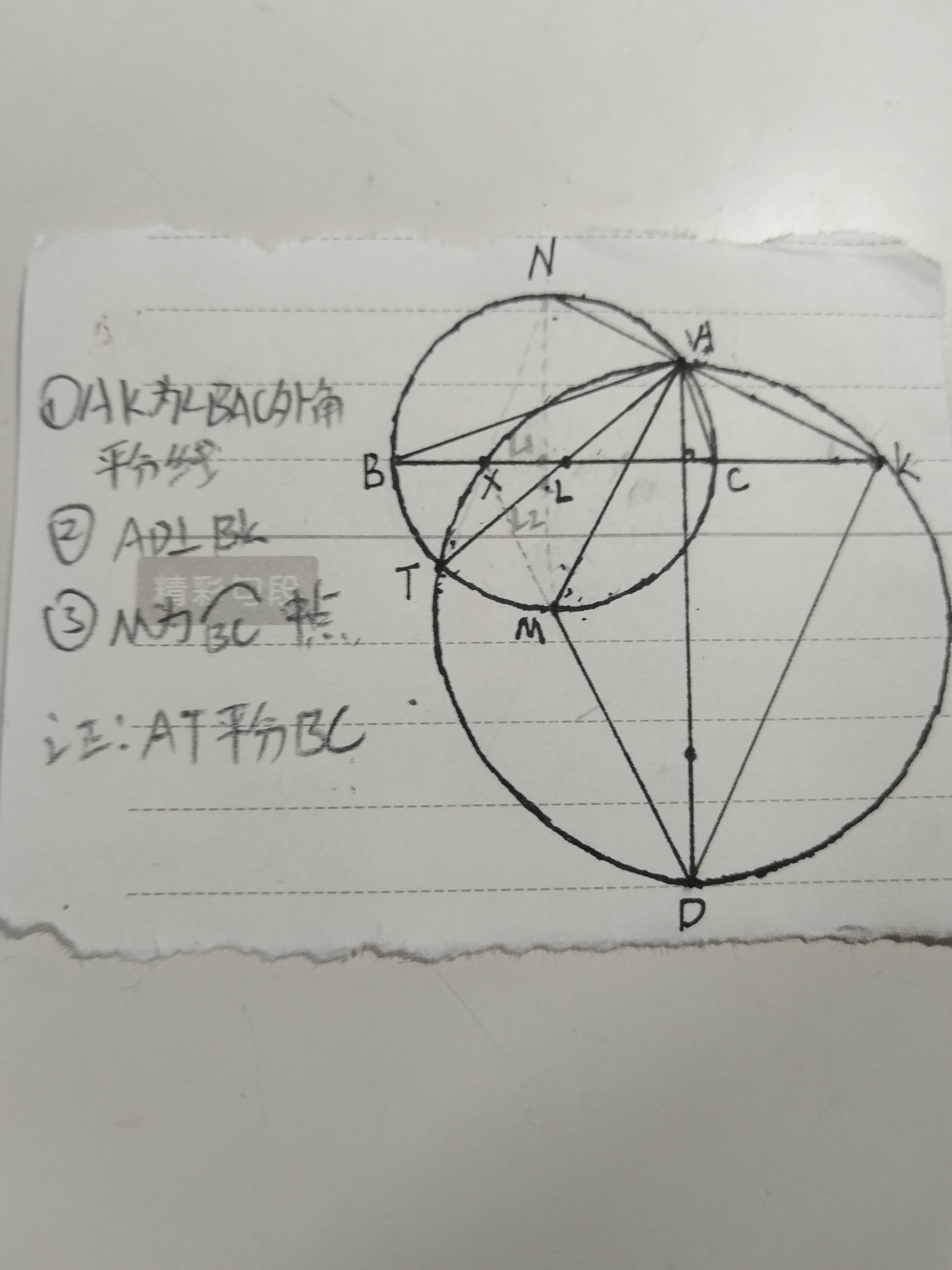 1732629039462.jpg