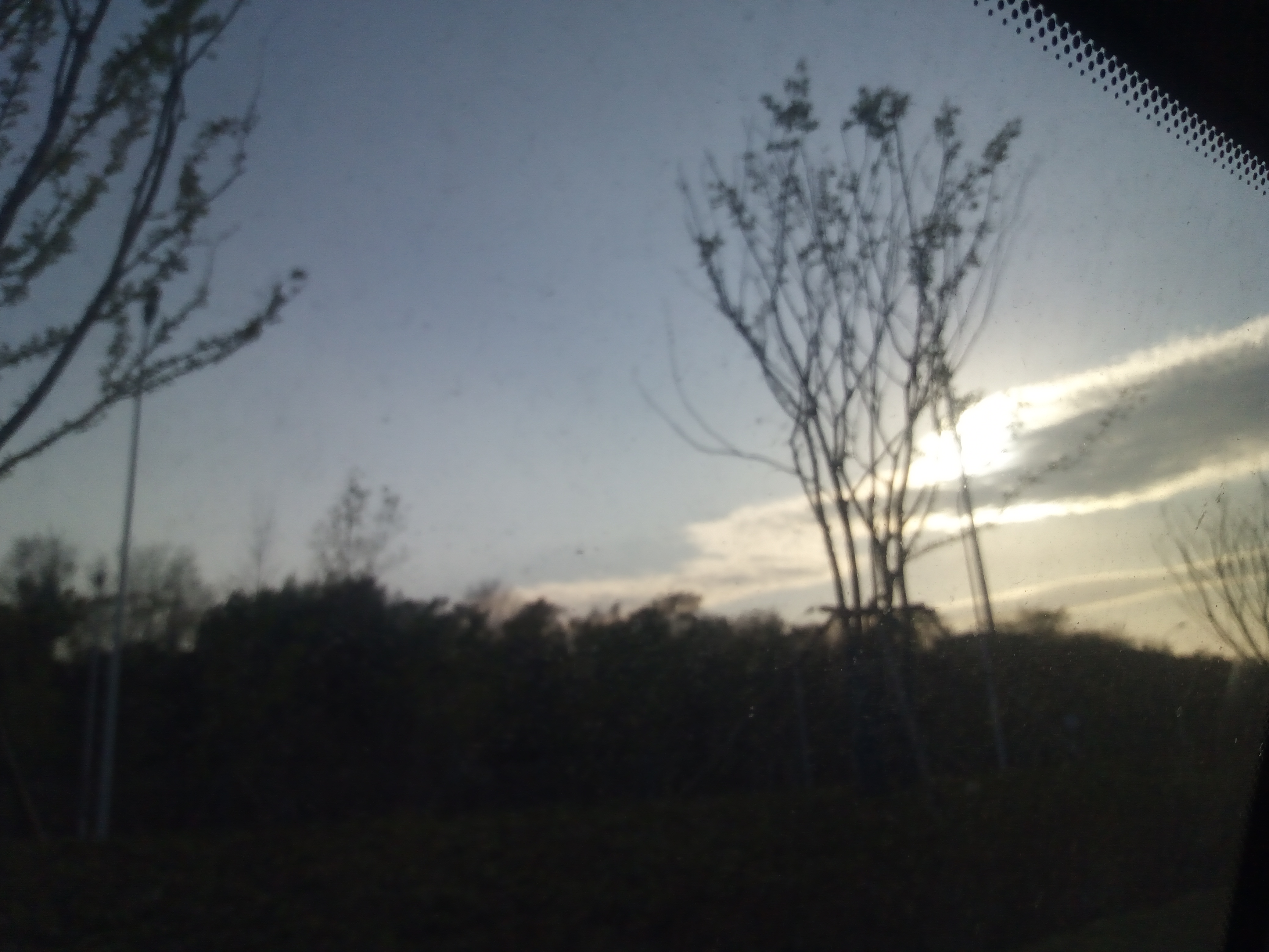 IMG_20241201_160727_721.jpg