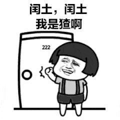 1733567869327.jpg