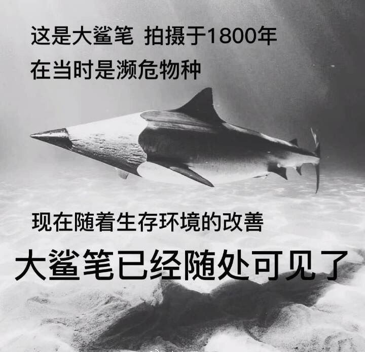 1733567691360.jpg