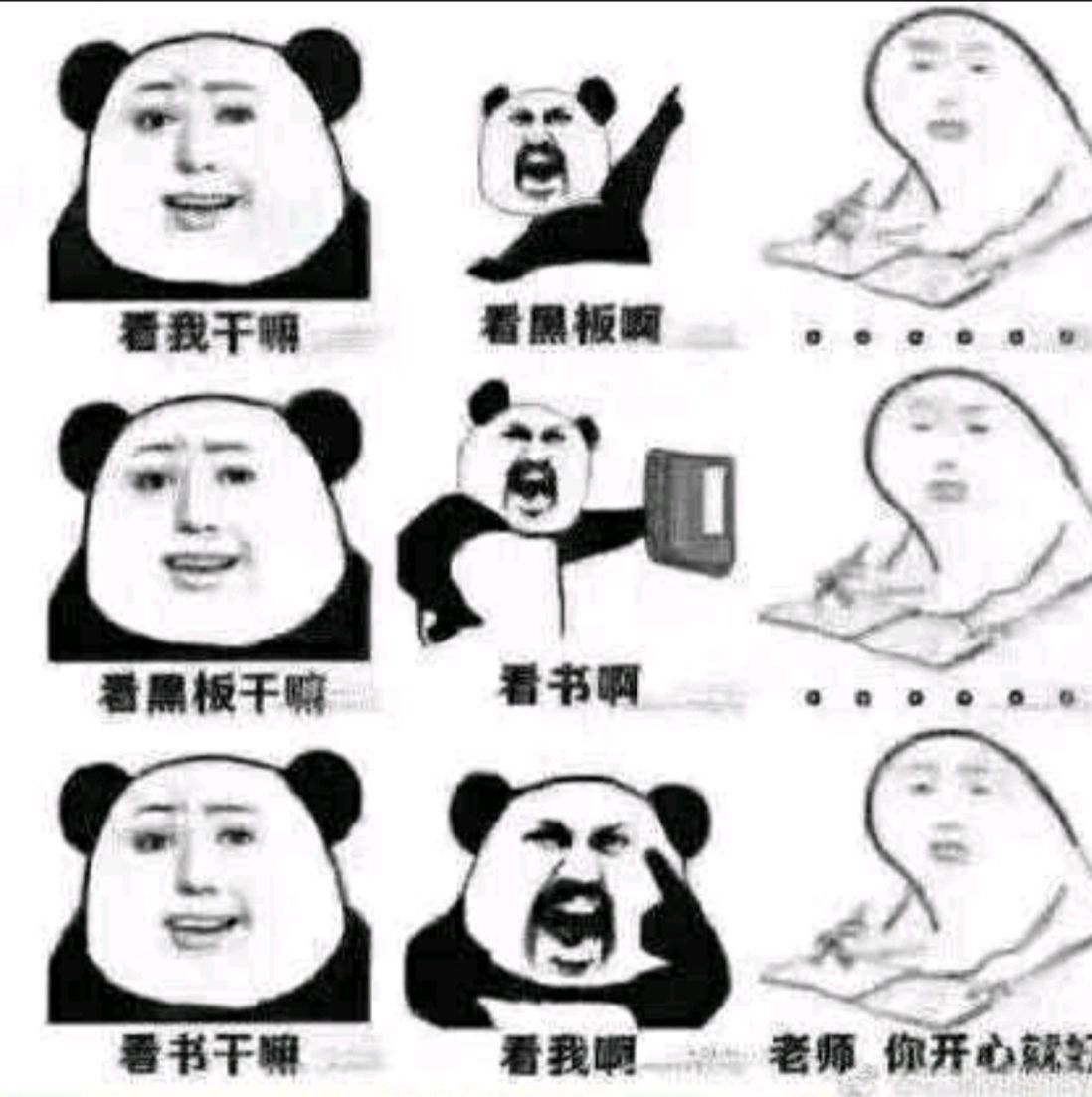 1733569586665.jpg