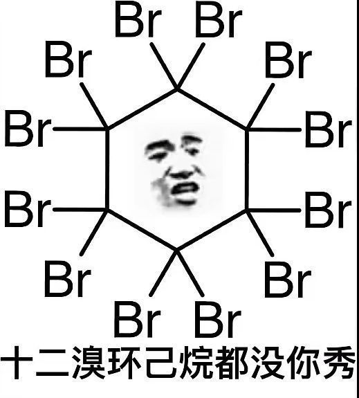 1733568843836.jpg