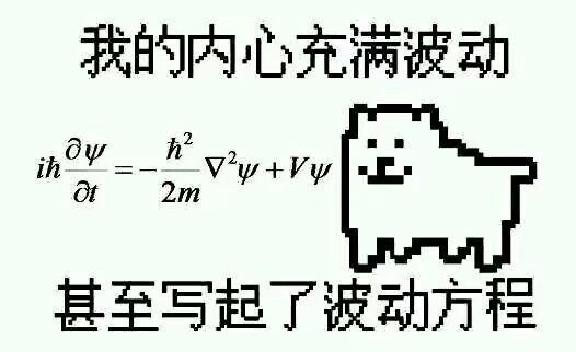 1733568445190.jpg