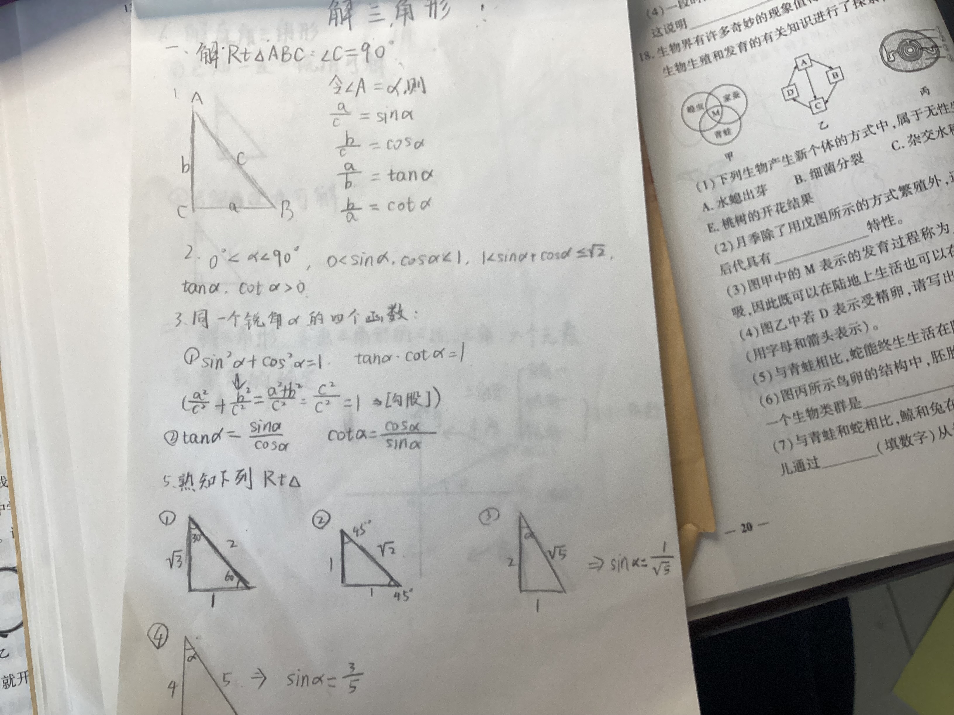 IMG_0197.jpeg