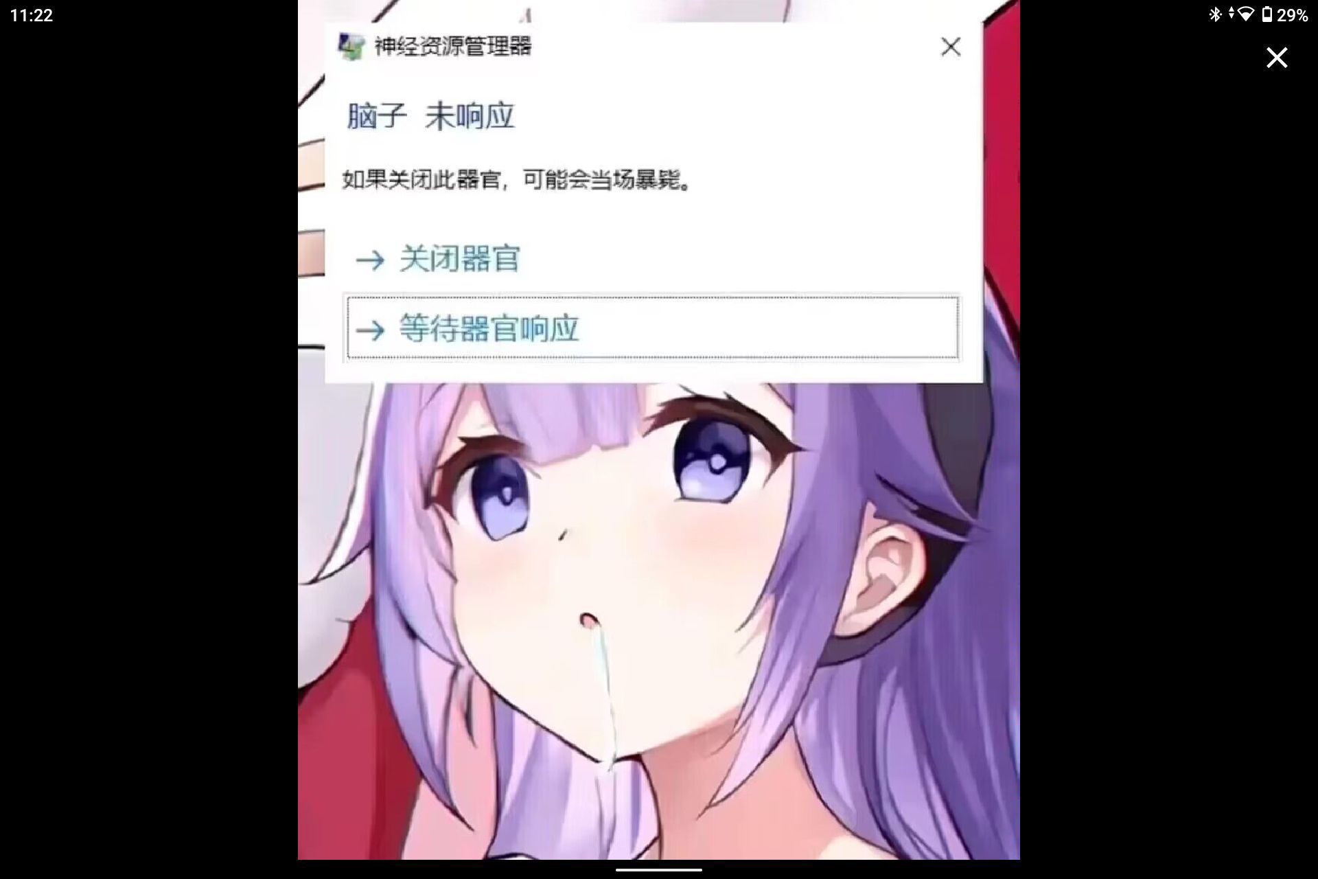 1706414511915.jpg