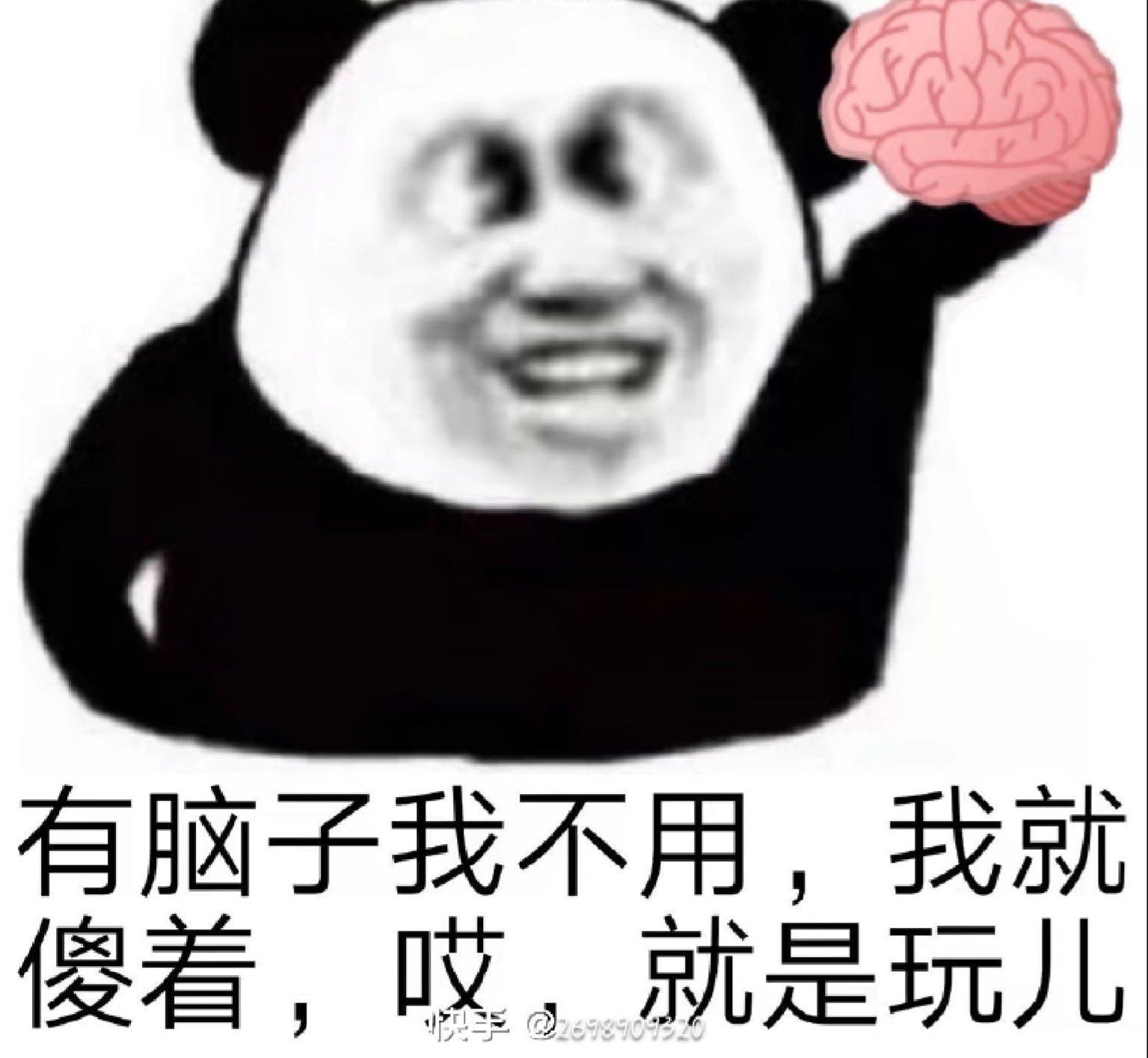 1734857210135.jpg