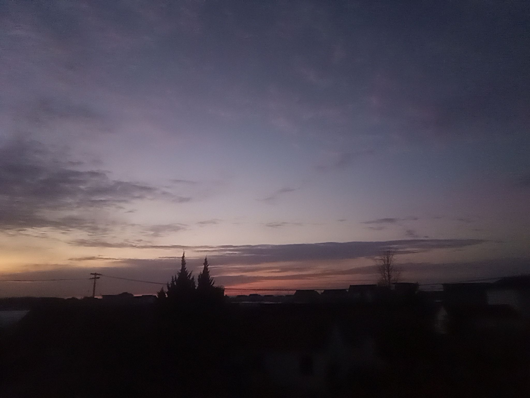 1736585467343.jpg