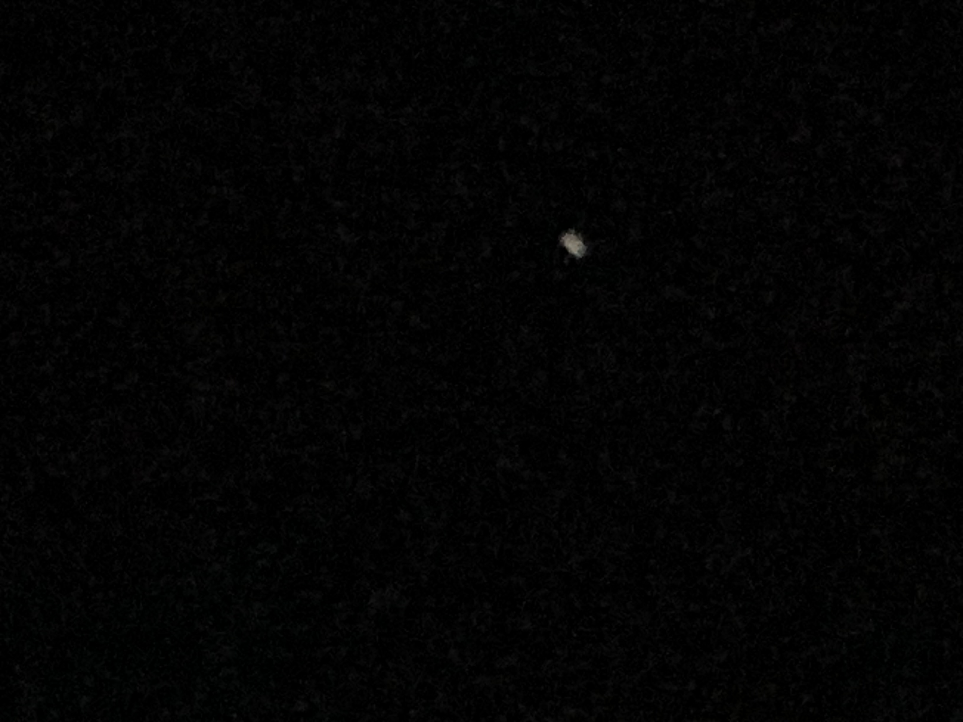 IMG_0288.jpeg
