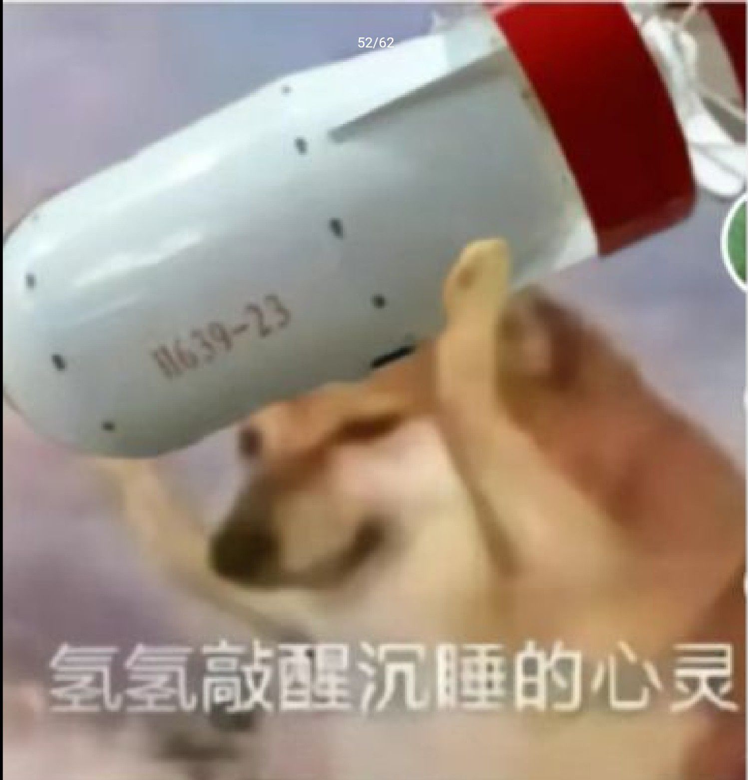 1726059422155.jpg