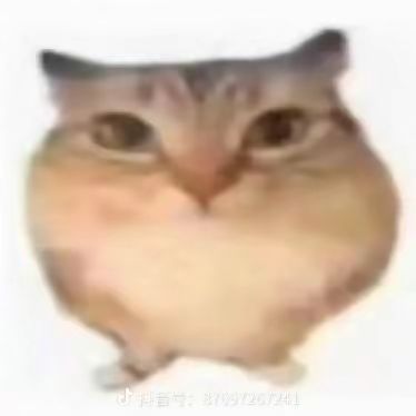 1737690745101.jpg