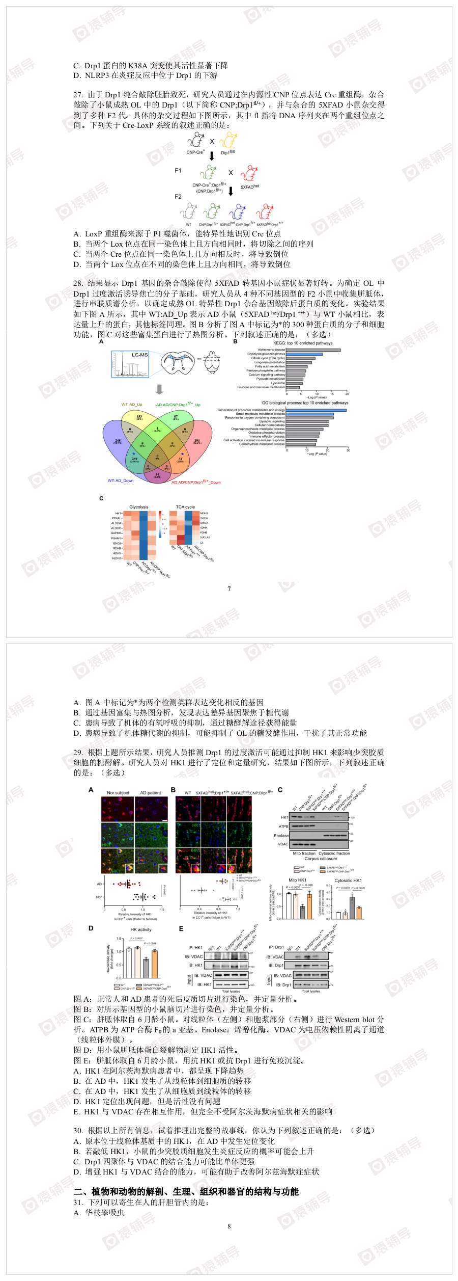 五一综合模拟（二）_20250125_192633.png