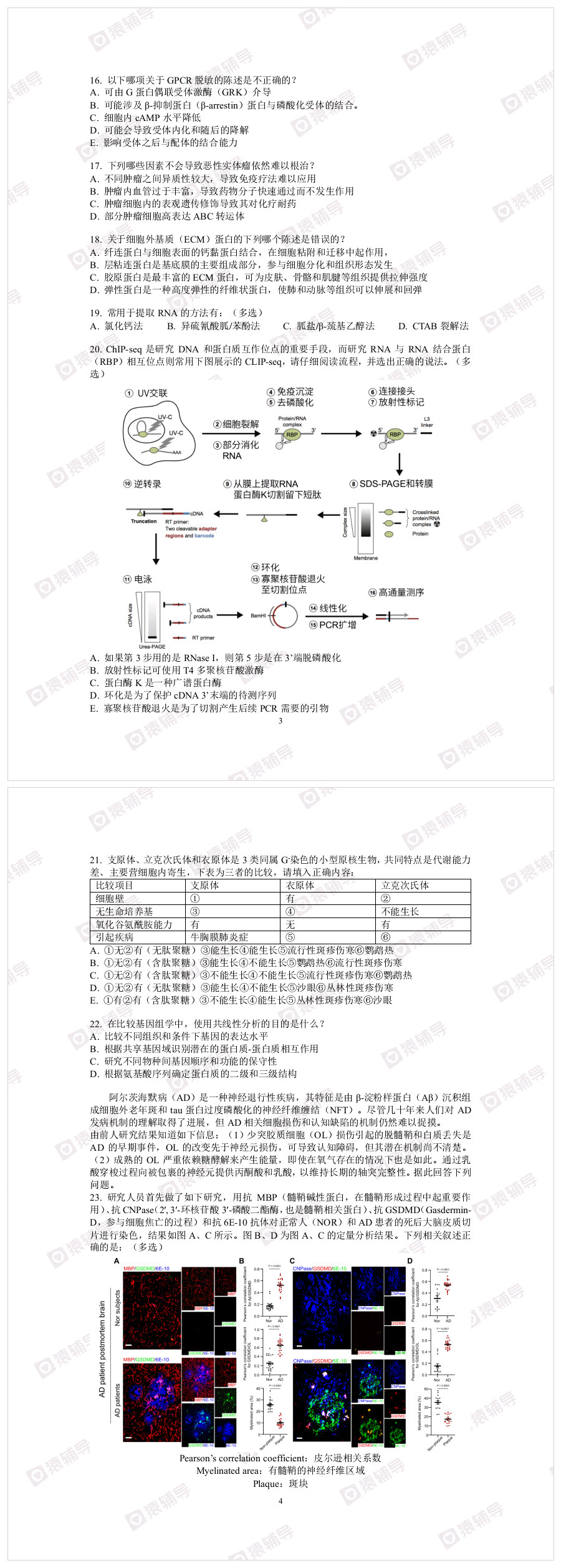 五一综合模拟（二）_20250125_192658.png