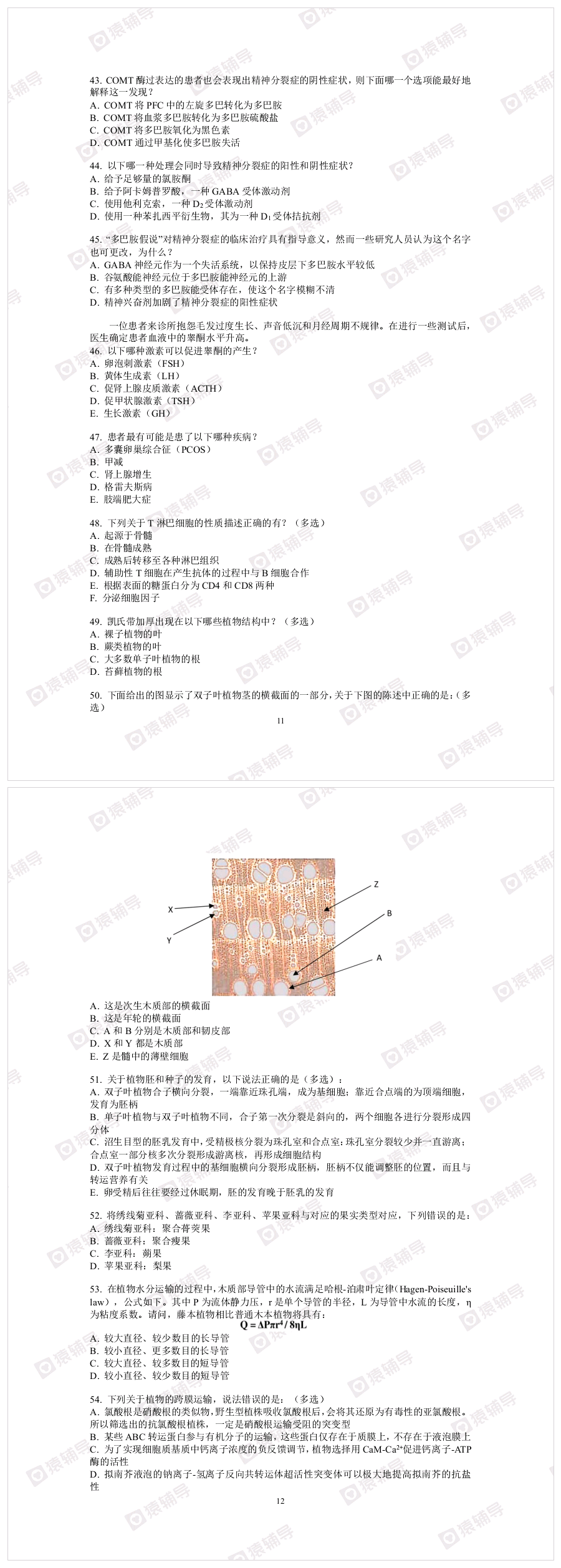 五一综合模拟（二）_20250125_192609.png