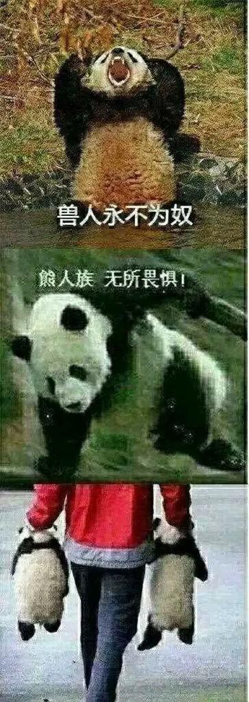 IMG_5186.jpeg