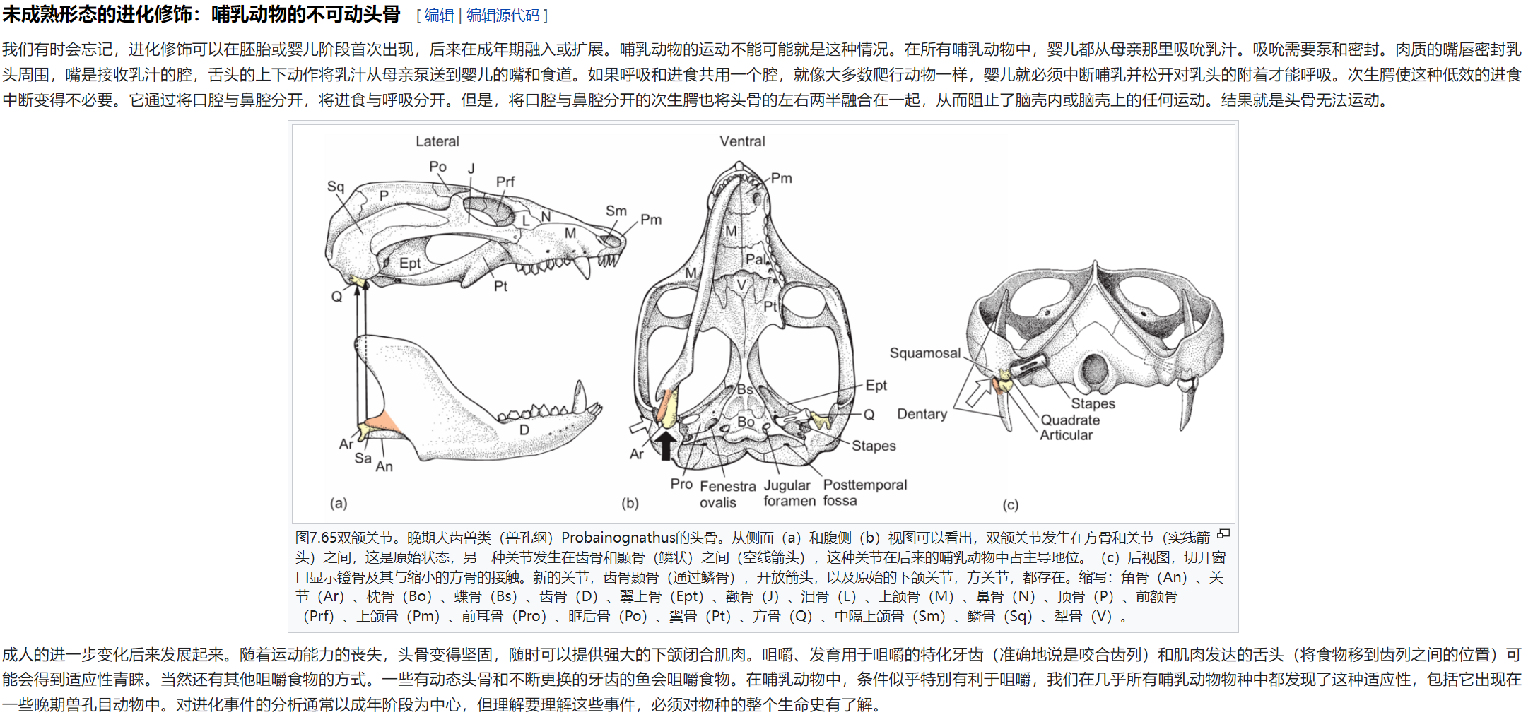 屏幕截图 2025-02-08 180039.png
