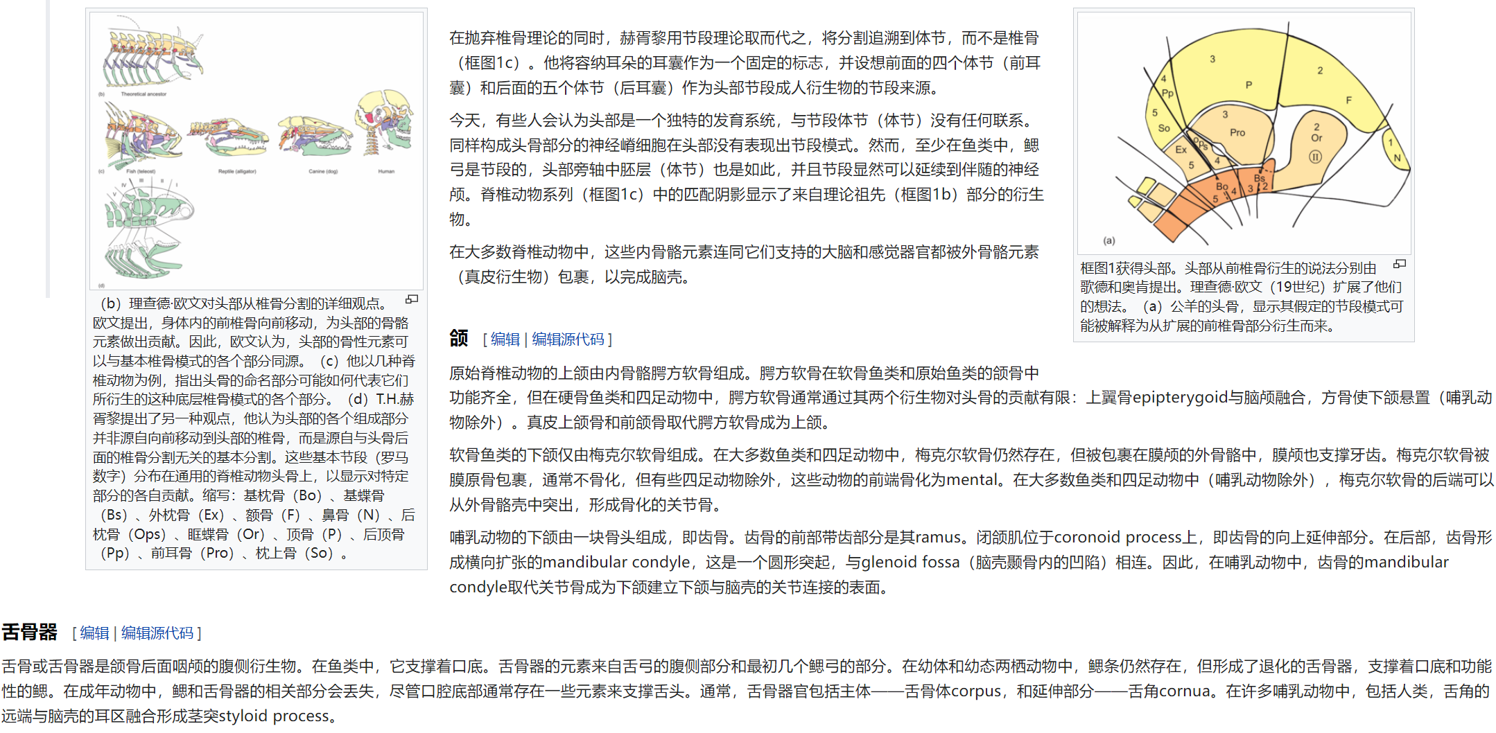 屏幕截图 2025-02-08 175502.png