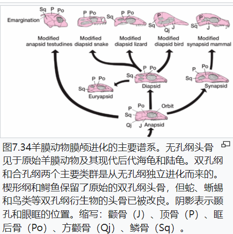 屏幕截图 2025-02-08 175731.png