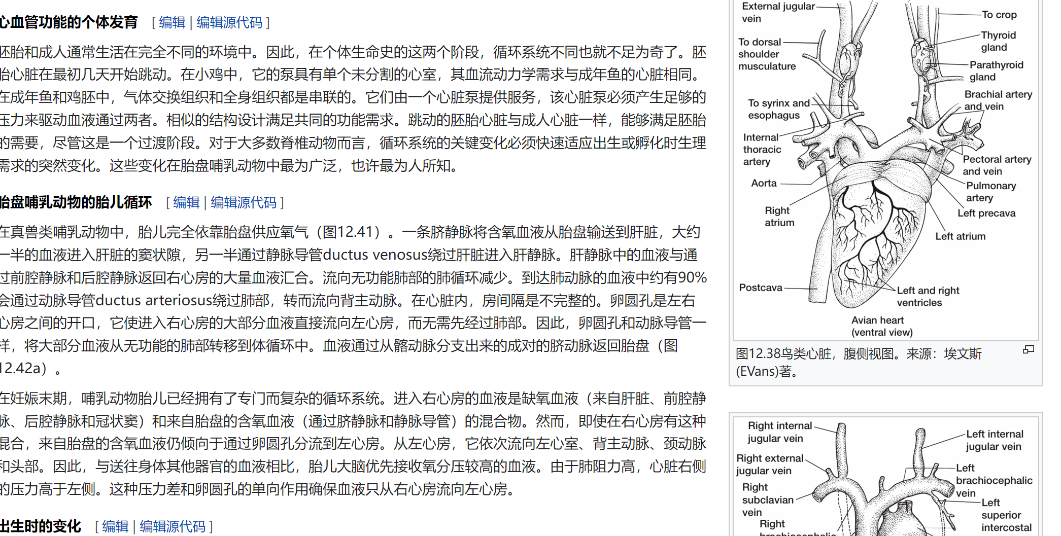 屏幕截图 2025-02-08 122120.png