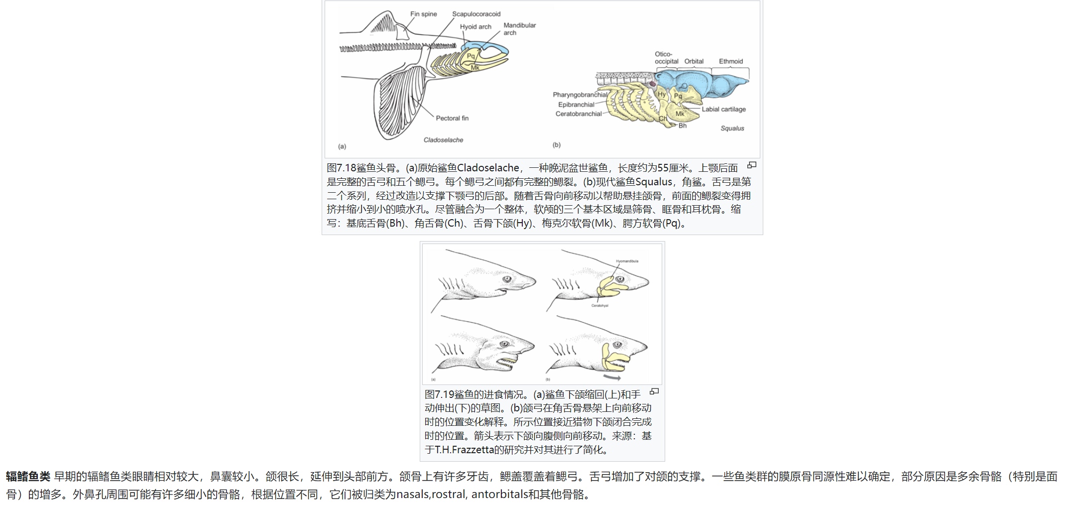 屏幕截图 2025-02-08 175602.png