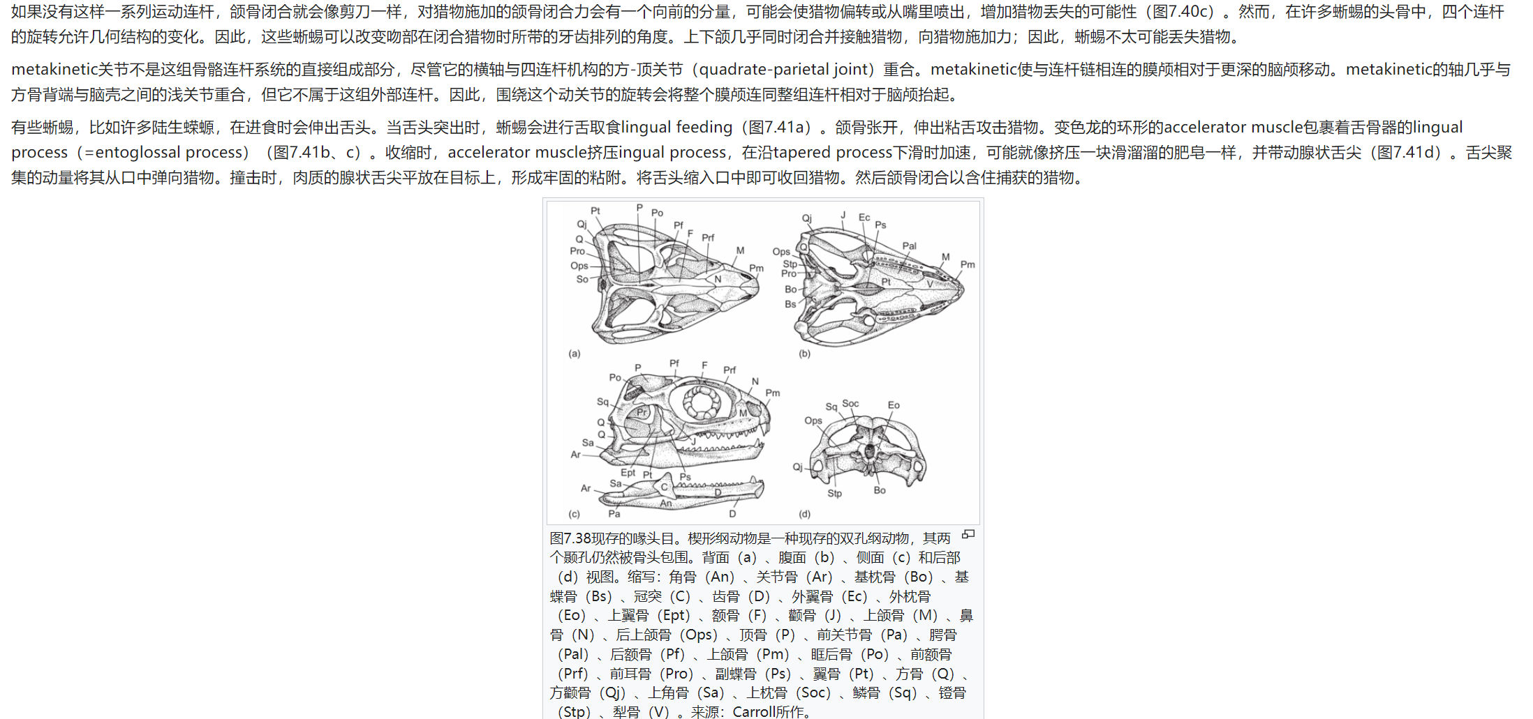 屏幕截图 2025-02-08 175807.png