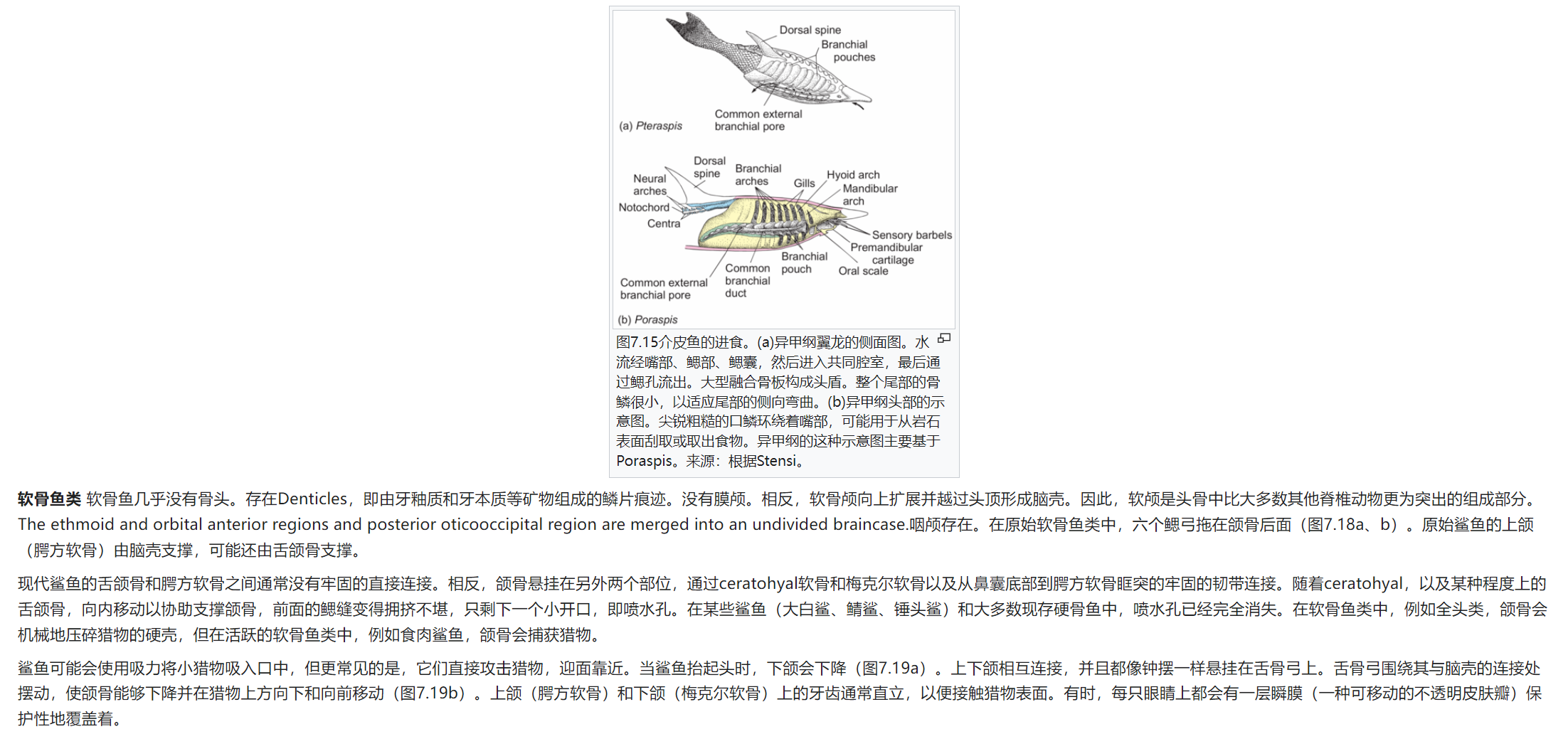 屏幕截图 2025-02-08 175547.png