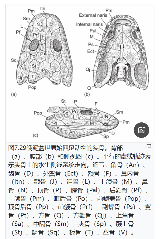 屏幕截图 2025-02-08 175710.png