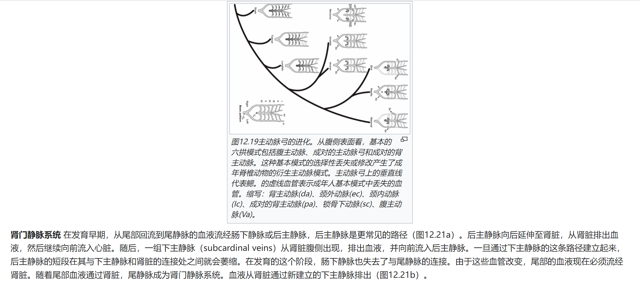 屏幕截图 2025-02-08 120336.png