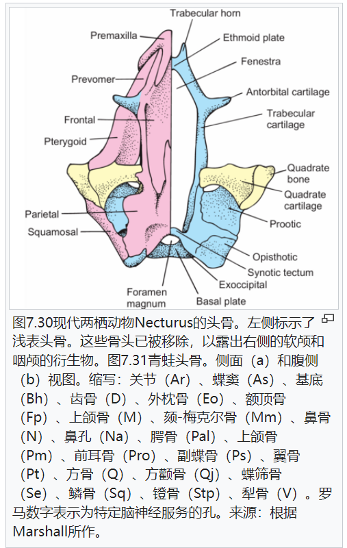 屏幕截图 2025-02-08 175715.png