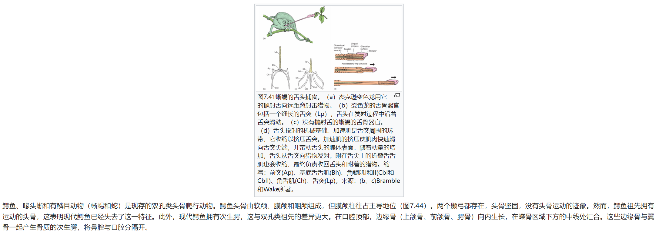 屏幕截图 2025-02-08 175827.png