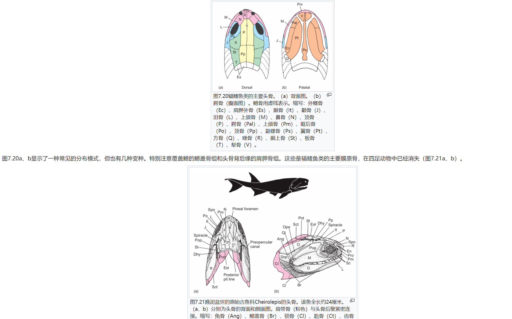 屏幕截图 2025-02-08 175611.png