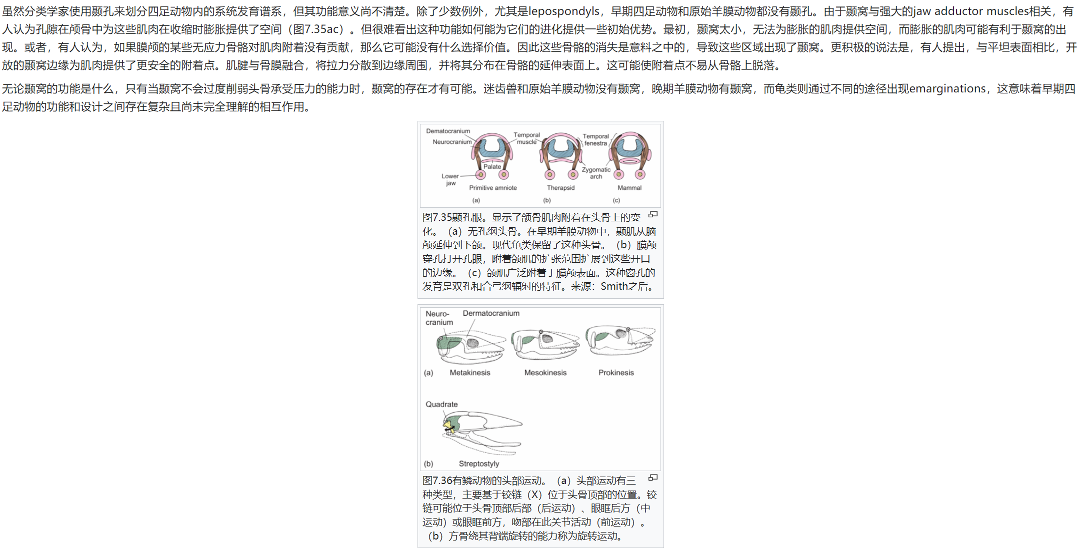 屏幕截图 2025-02-08 175740.png