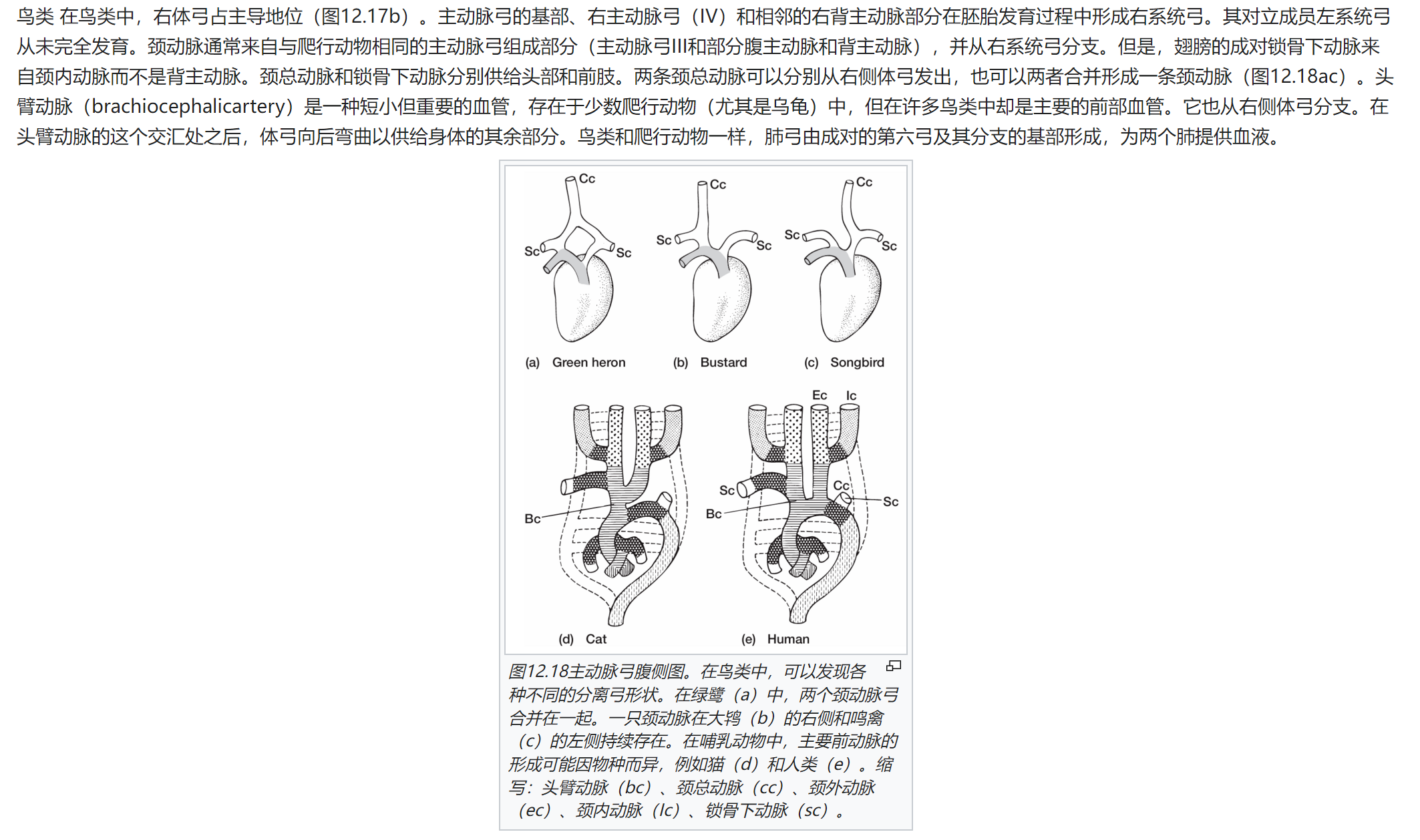 屏幕截图 2025-02-08 120307.png