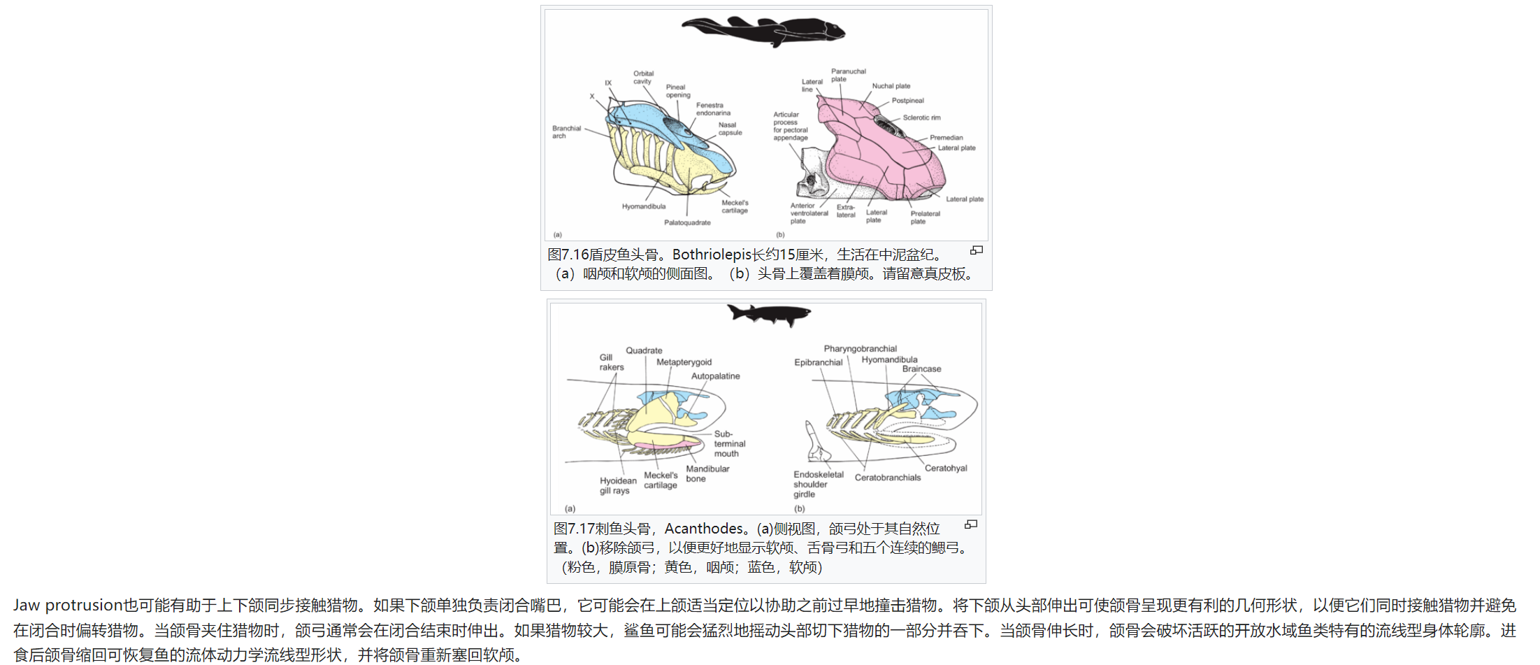 屏幕截图 2025-02-08 175556.png