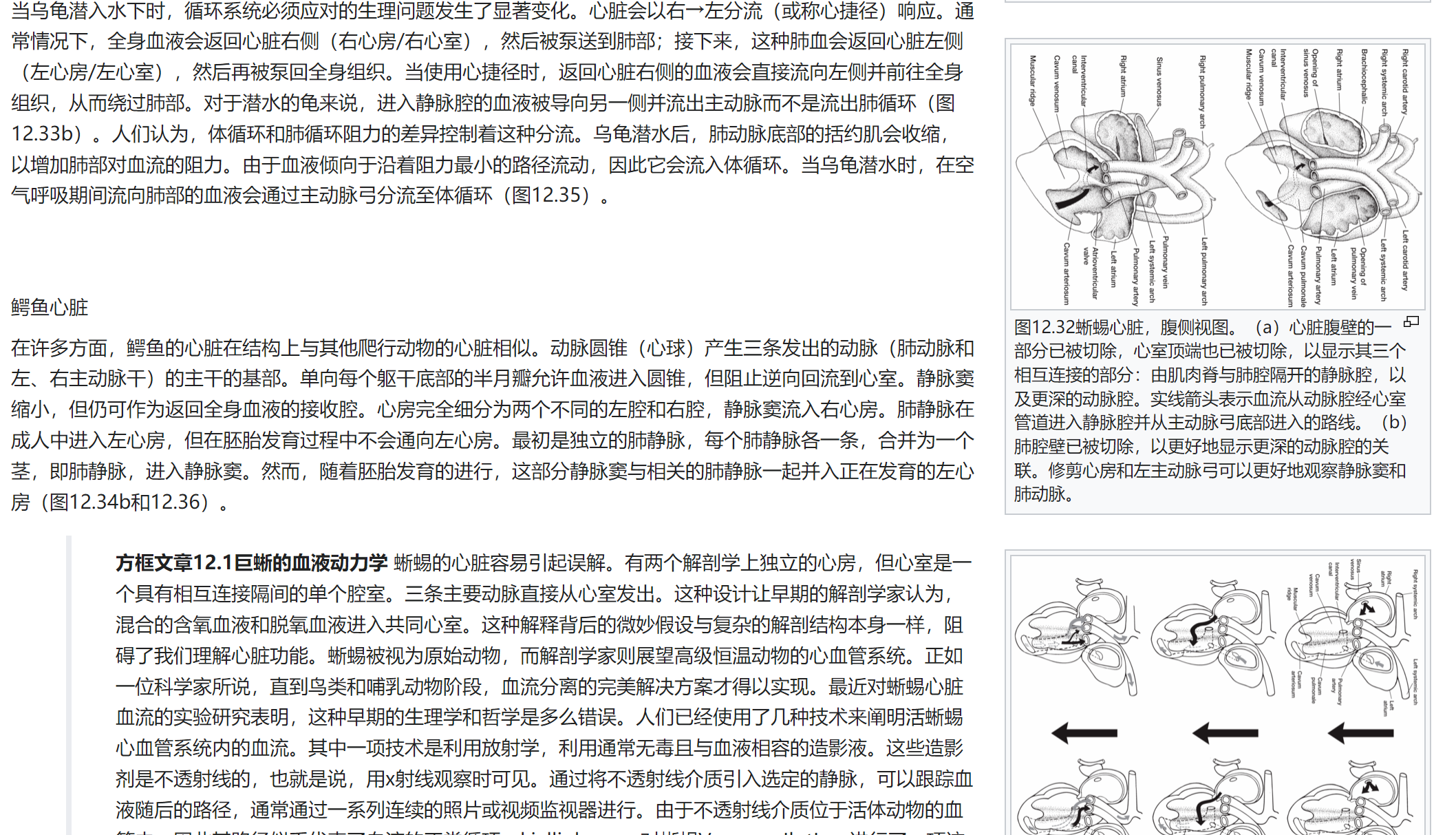 屏幕截图 2025-02-08 122045.png