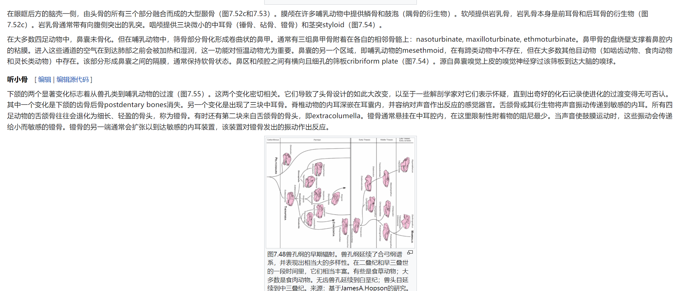屏幕截图 2025-02-08 175901.png